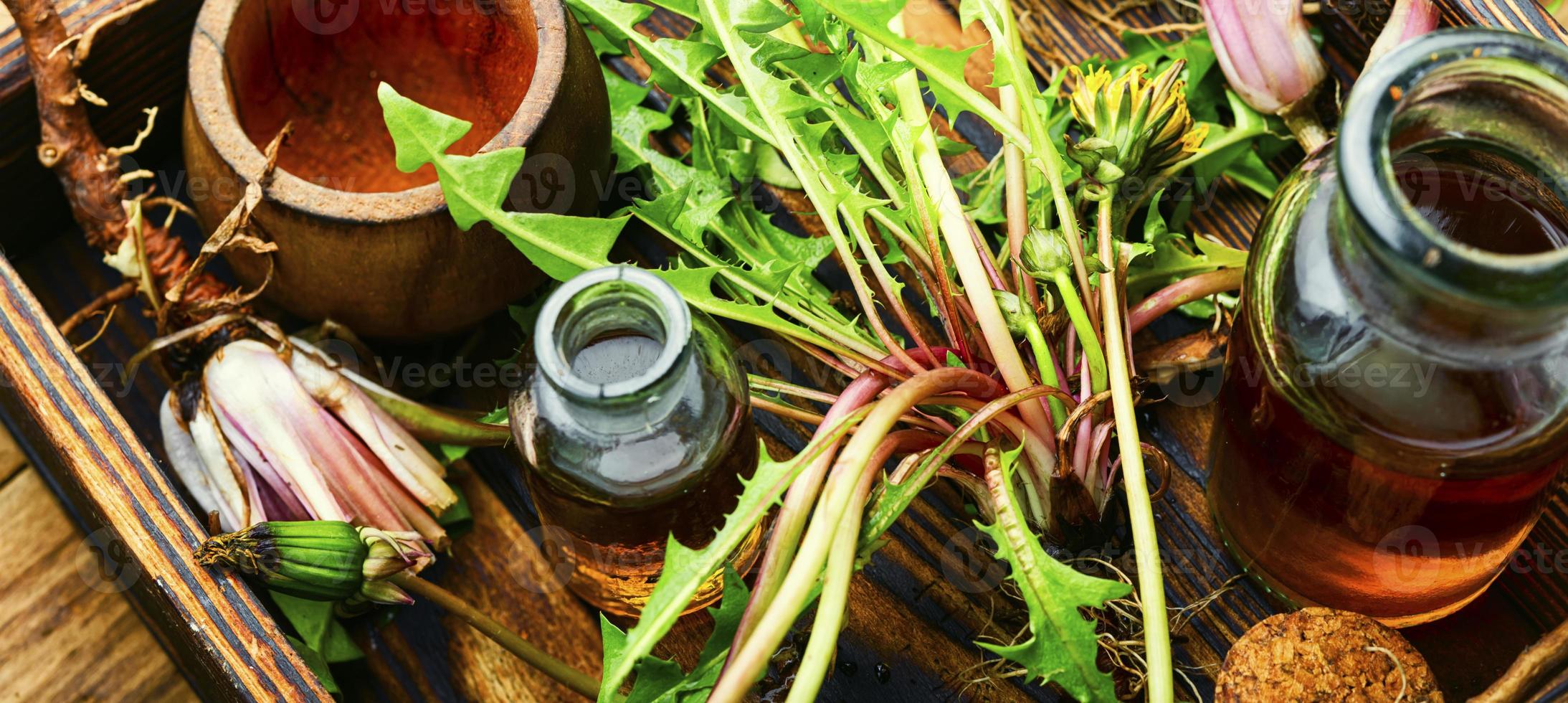 maskros eller taraxacum i naturlig ört- medicin foto