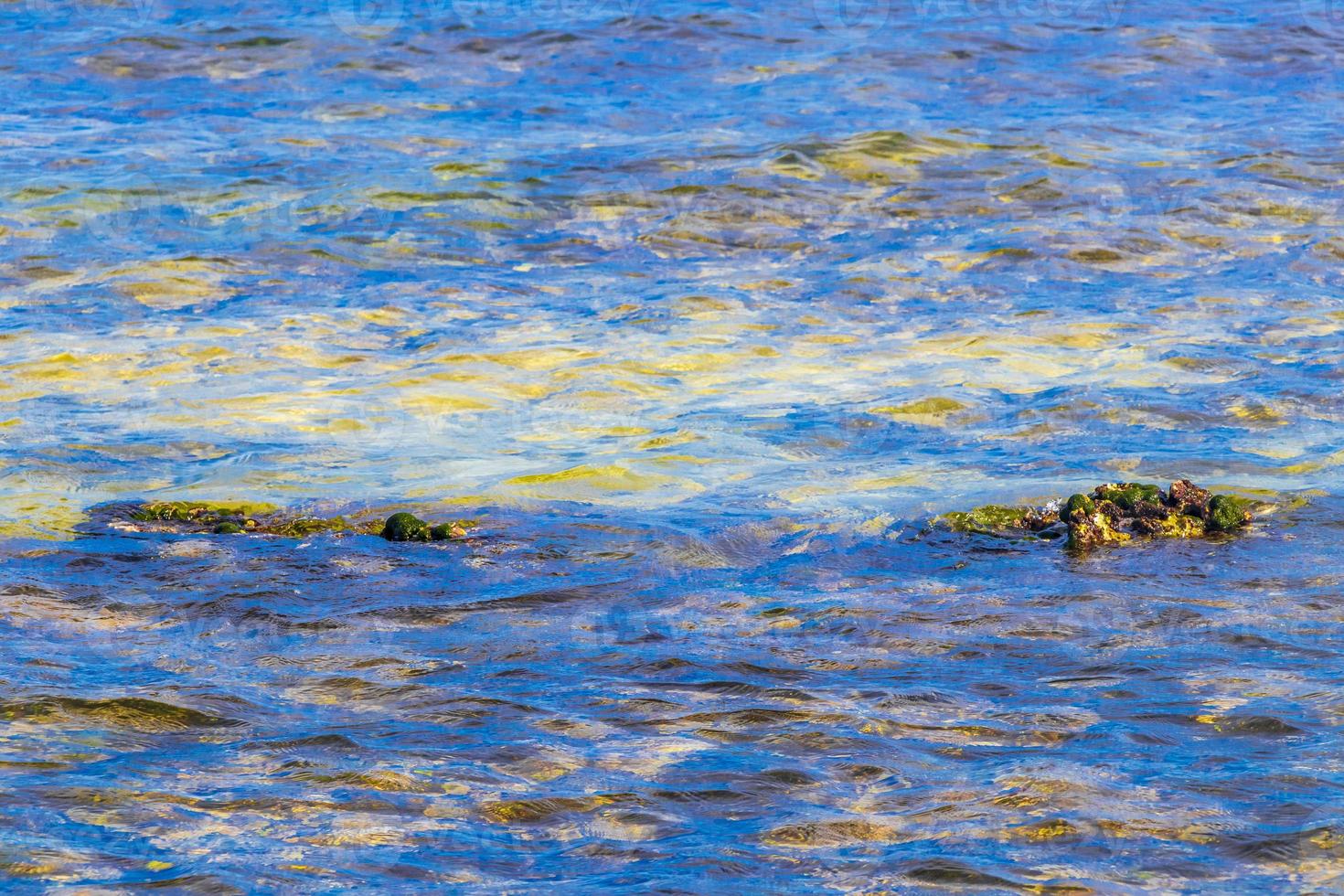 stenar stenar koraller turkos grön blå vatten på strand Mexiko. foto