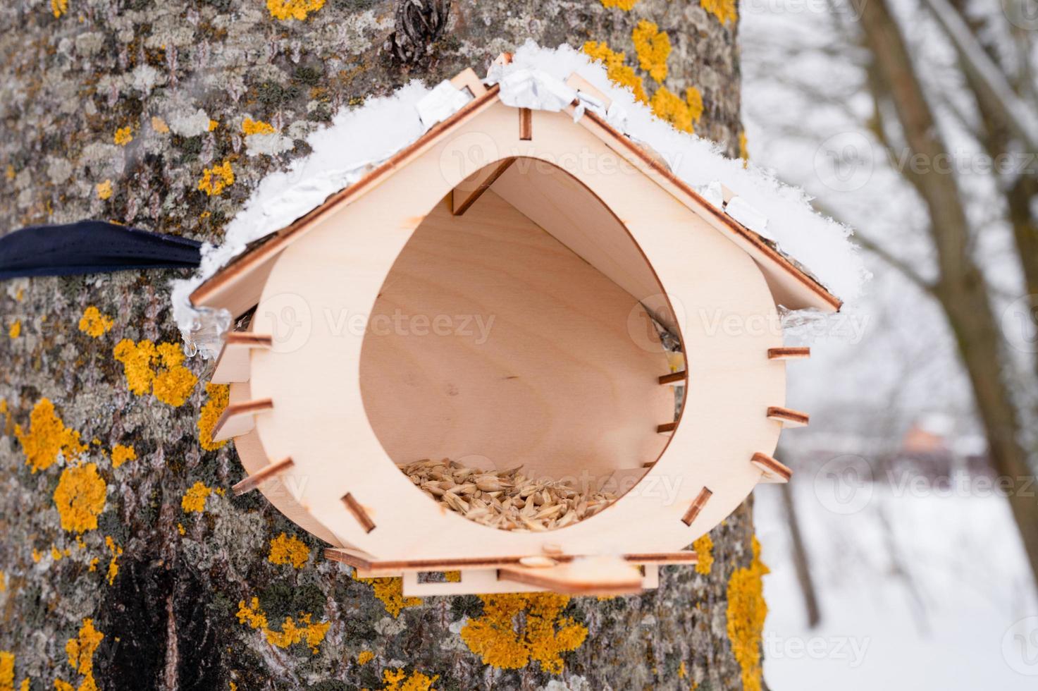 matare vinter- fåglar vård snö foto