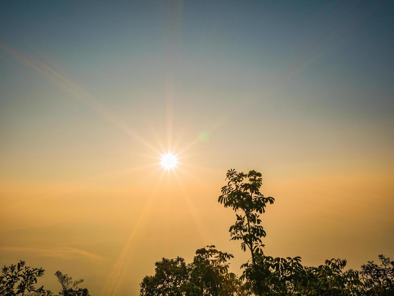 skön soluppgång och hav av de dimma eller dimma på topp av phu kradueng berg nationell parkera i loei stad thailand.phu kradueng berg nationell parkera de känd resa destination foto