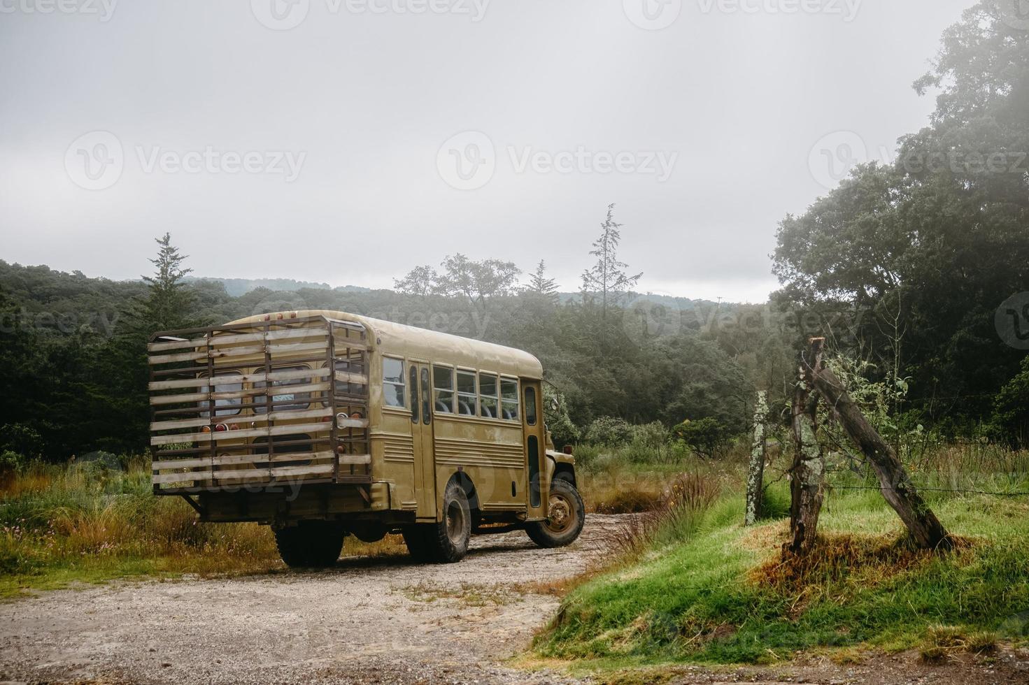 årgång resa eller camping buss i de mitten av de skog foto