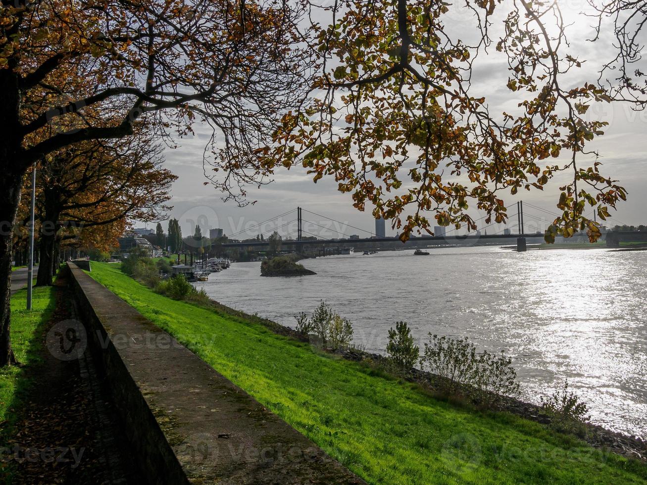 Düsseldorf och de Rhen flod foto