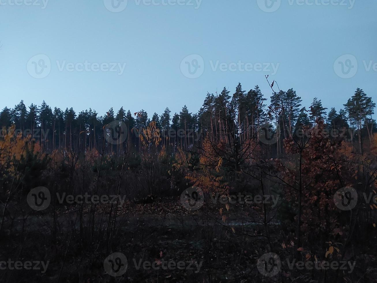morgon- och natt panorama av gryning foto