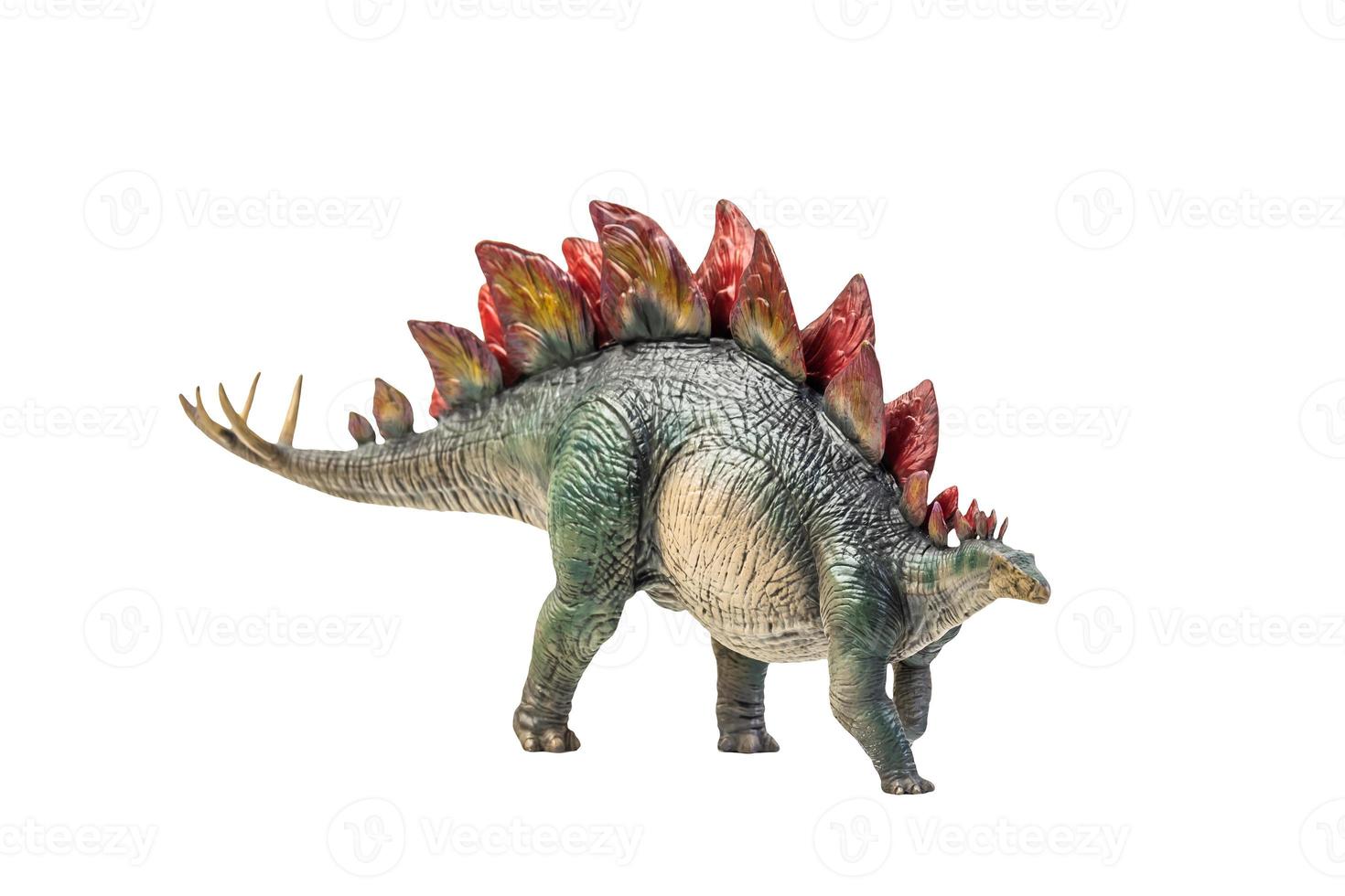 dinosaurie , stegosaurus isolerat bakgrund foto