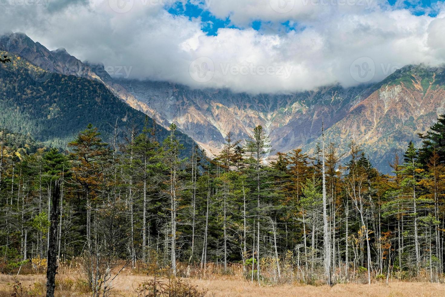 kamikochi's vandring spår den där promenader genom en natur spår i de hjärta av de japansk bergen med de skönhet av tallar och mogna träd ändring deras färger i de falla. foto