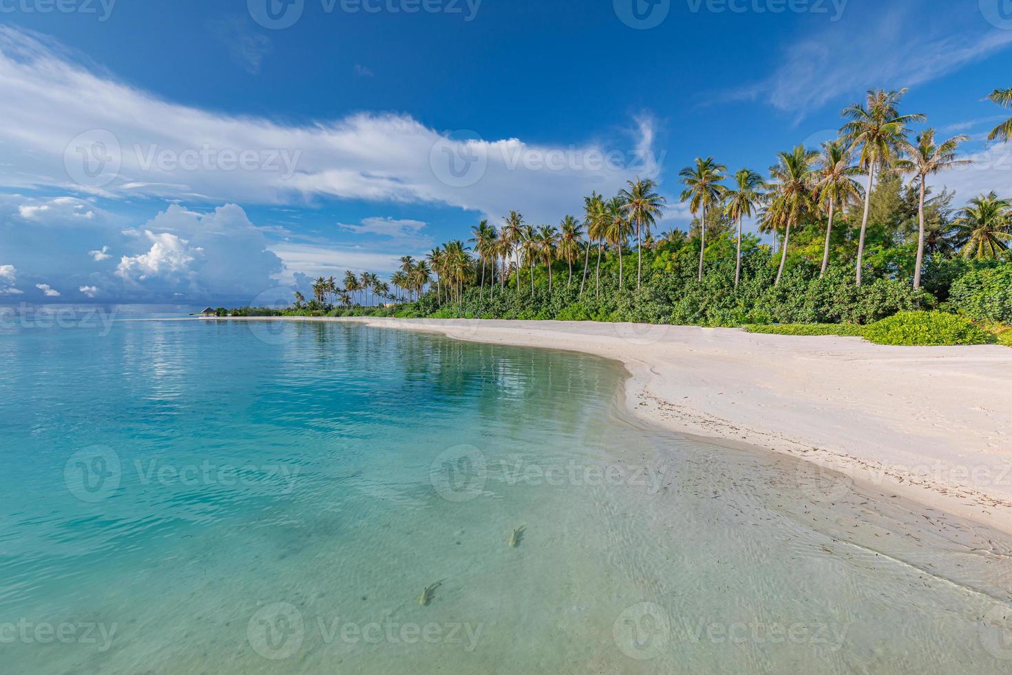 sommar resa bakgrund. exotisk tropisk strand ö, paradis kust. handflatan träd vit sand, Fantastisk himmel hav lagun. fantastisk skön natur panorama, solig dag idyllisk inspirera semester foto