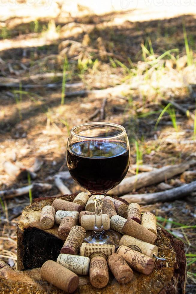 en glas med en röd vin och vin korkar på en stubbe i en sommar skog i en solig dag. foto