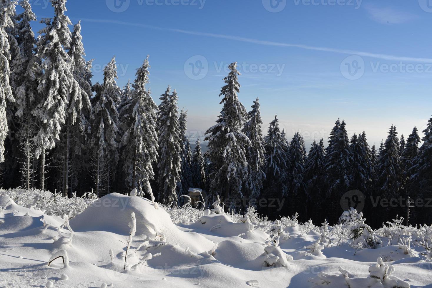 vinterwald foto