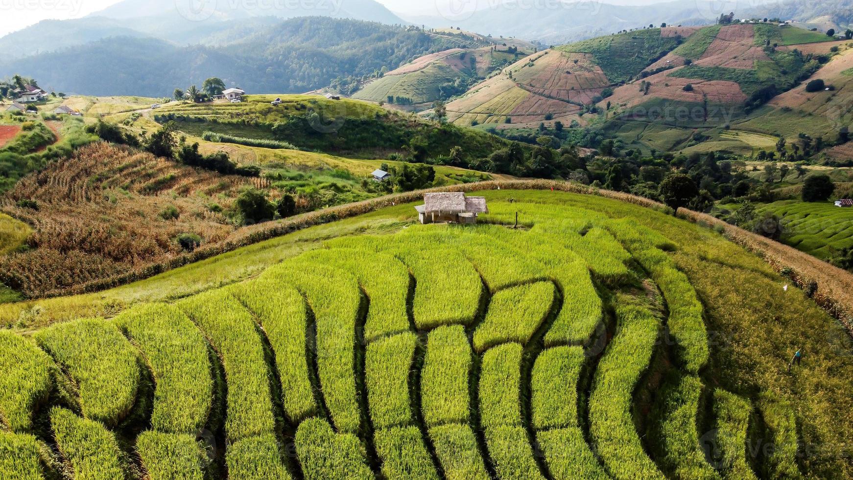 antenn se av ris terrass på förbjuda pa bong piang i chiang mai thailand foto