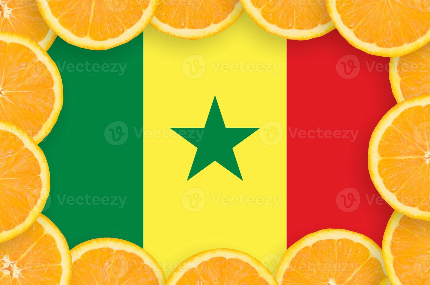 senegal flagga i färsk citrus- frukt skivor ram foto