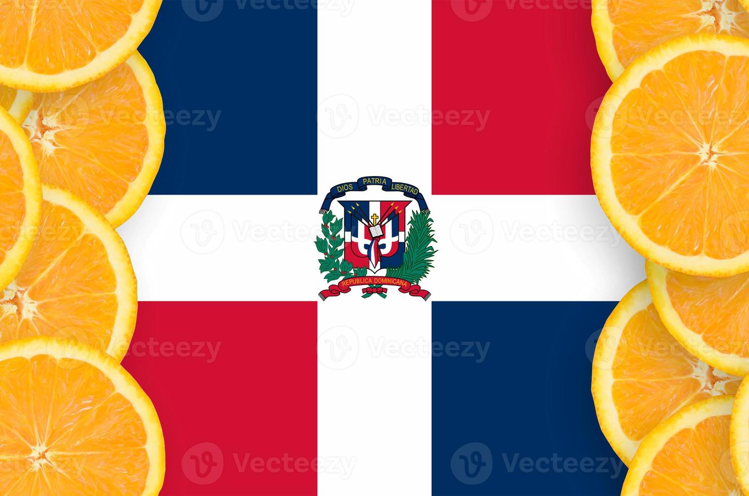 Dominikanska republik flagga i citrus- frukt skivor vertikal ram foto