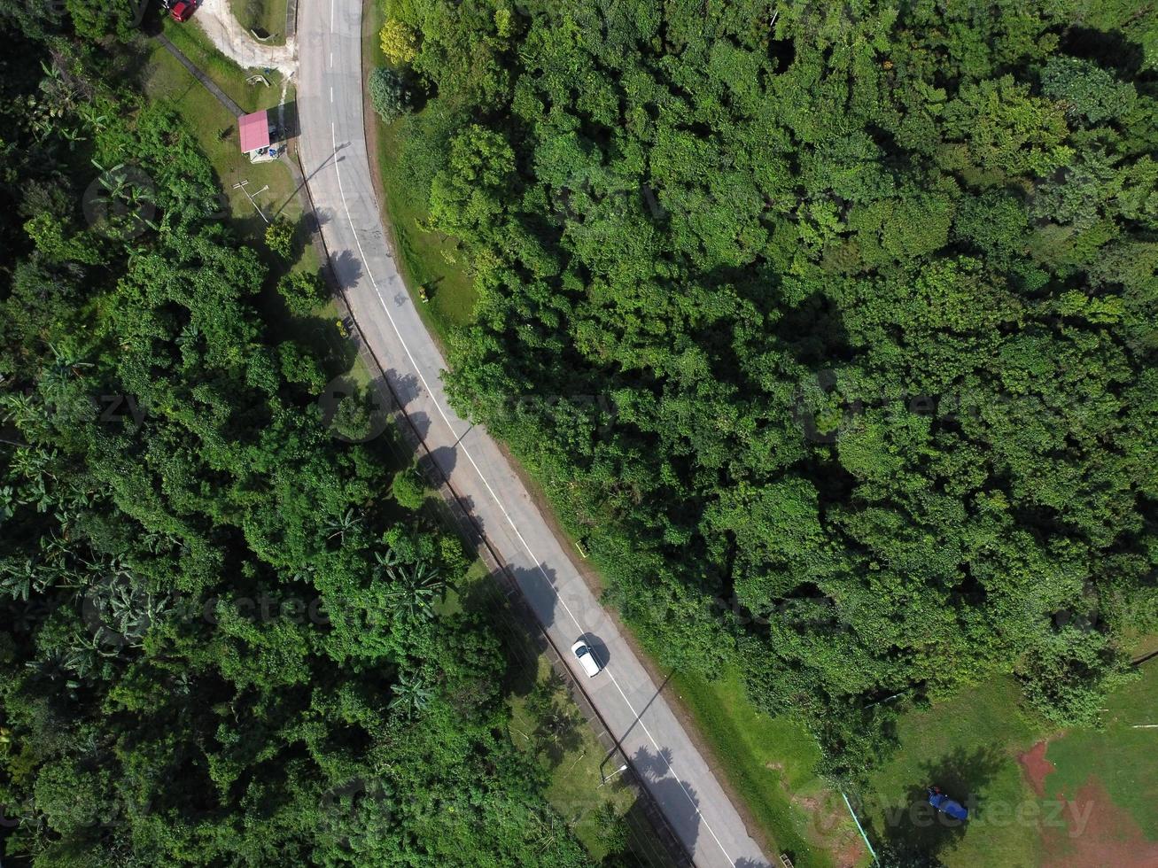 grannskap i grön skog parkera antenn ovan topp se. foto