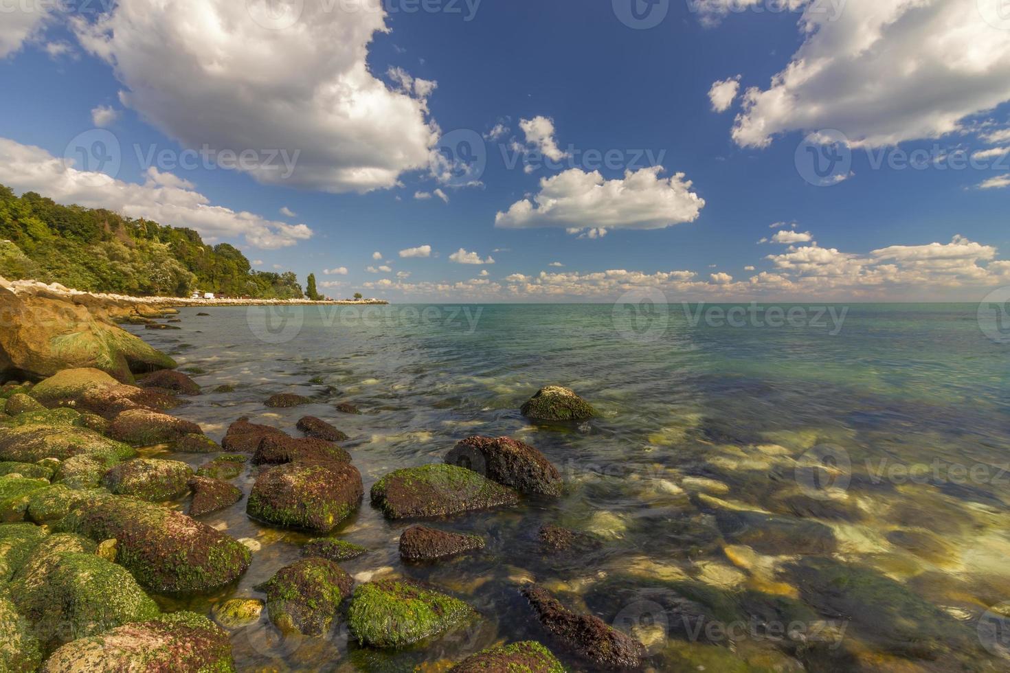 skön dag se av sten kust med alger foto