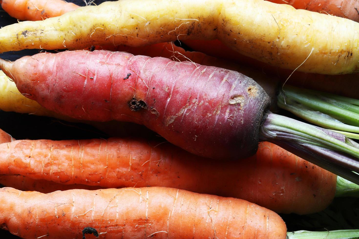 färgglada morötter för matbakgrund foto