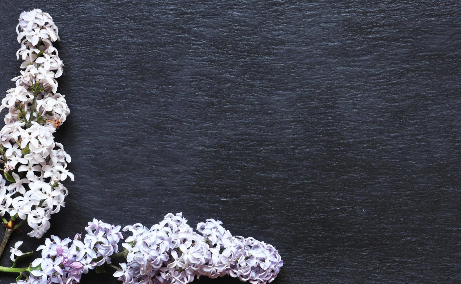 lila blommor på skifferbakgrund foto