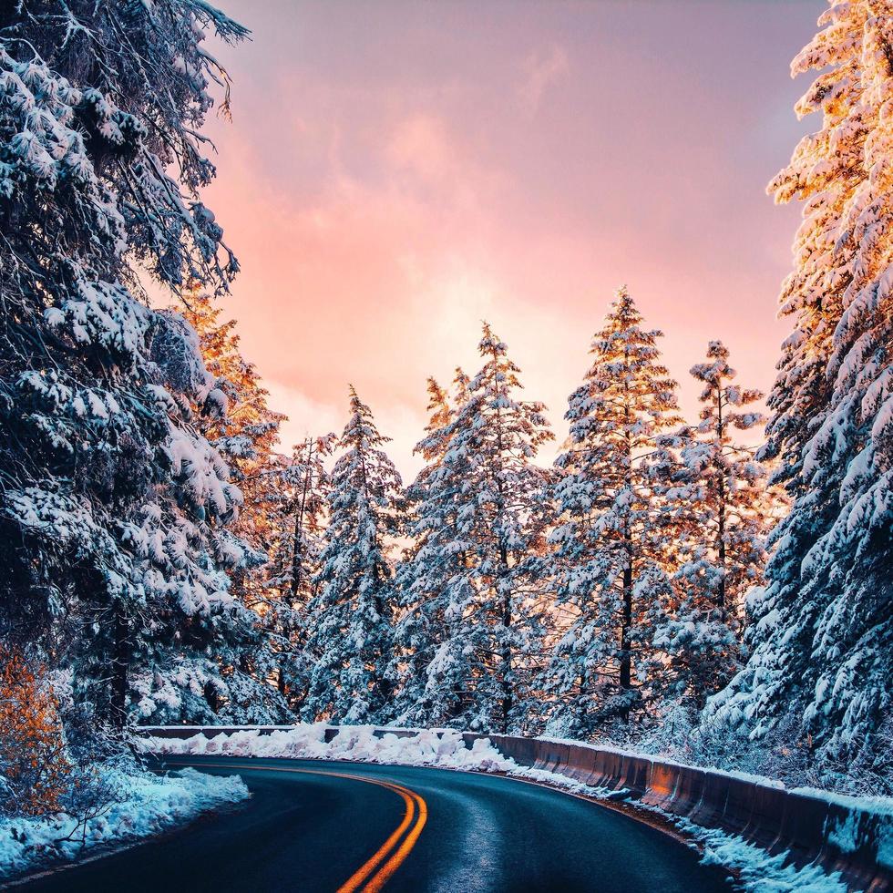 soluppgång på snöigt landskap foto