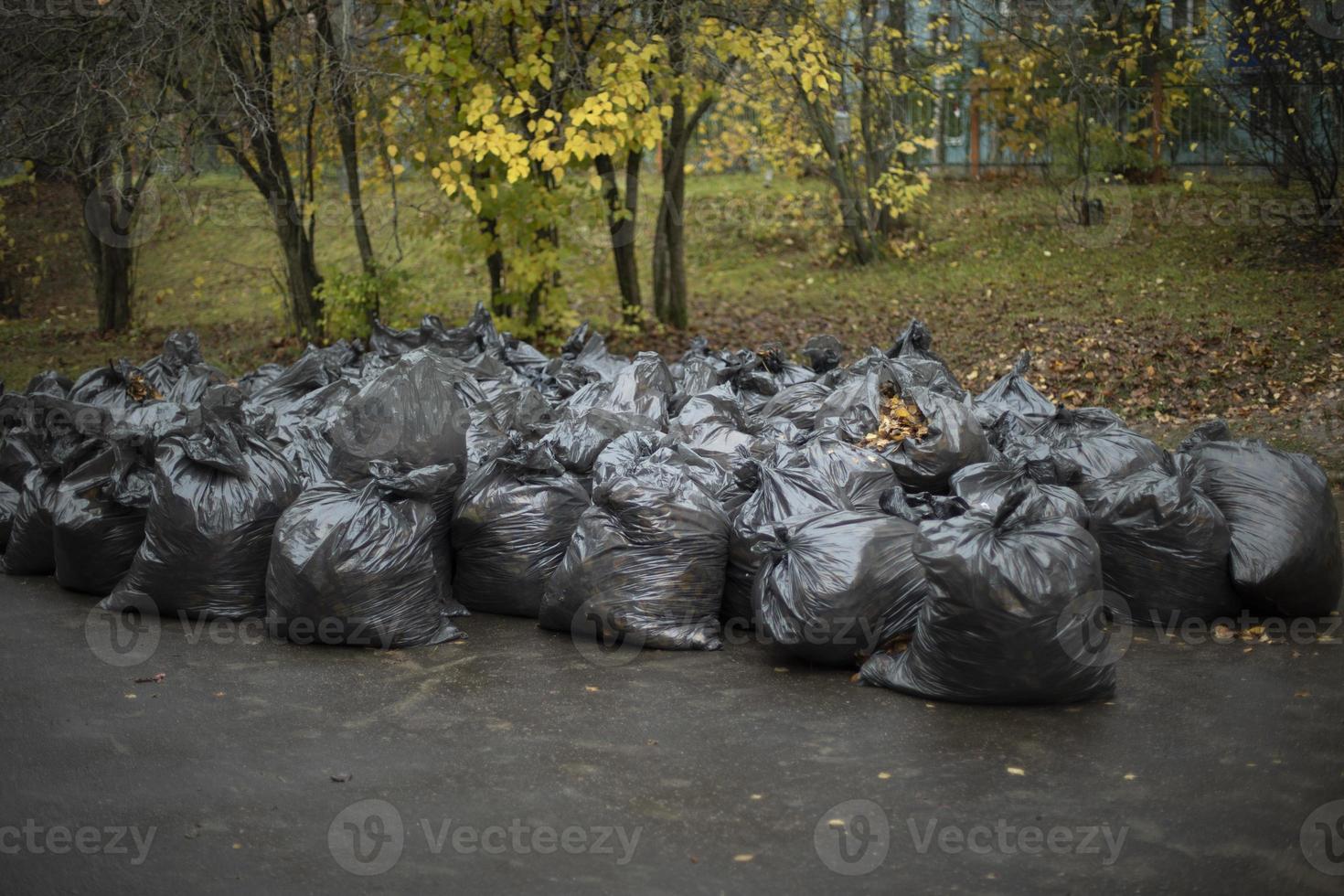 rengöring dag i Ryssland. massor av påsar av löv. svart sopor påsar. efter rengöring gård. foto