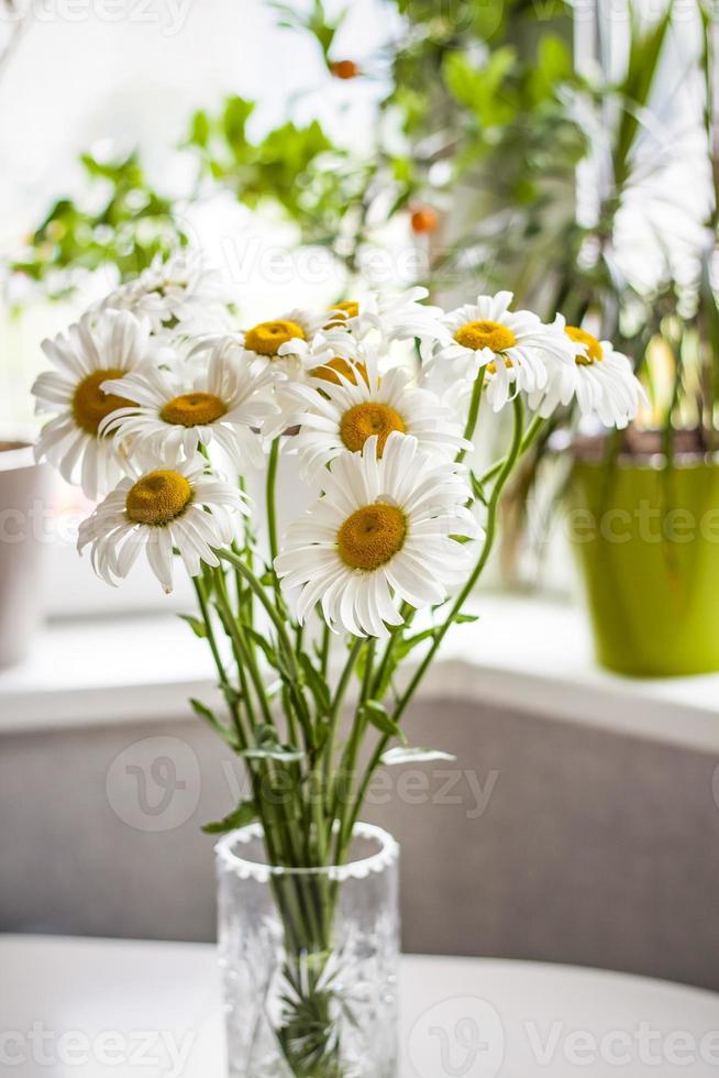 en bukett av stor daisy i en vas på en vit bakgrund. medium planen, selektiv ögonblicksbild. selektiv fokus. foto