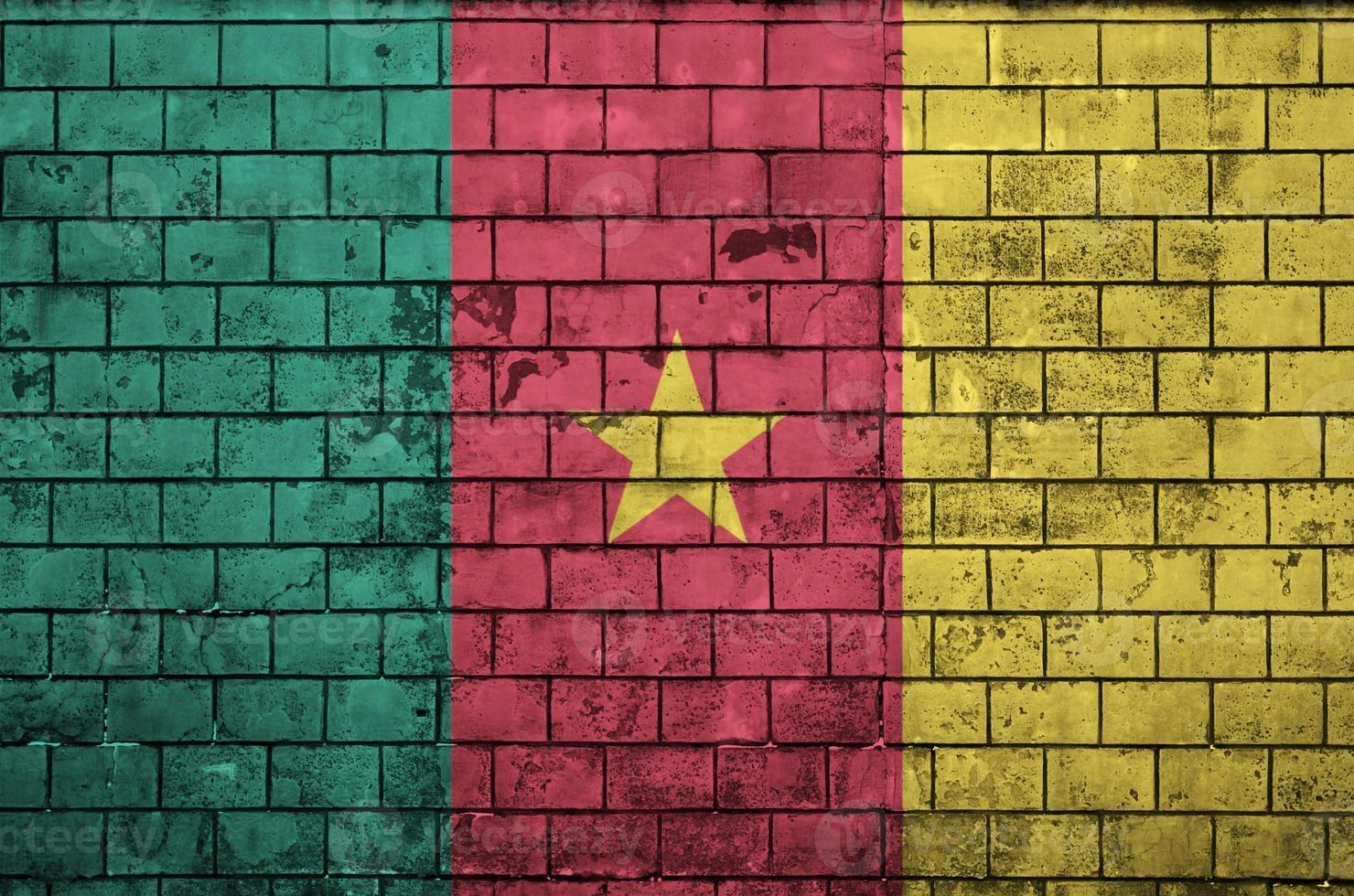 cameroon flagga är målad till ett gammal tegel vägg foto