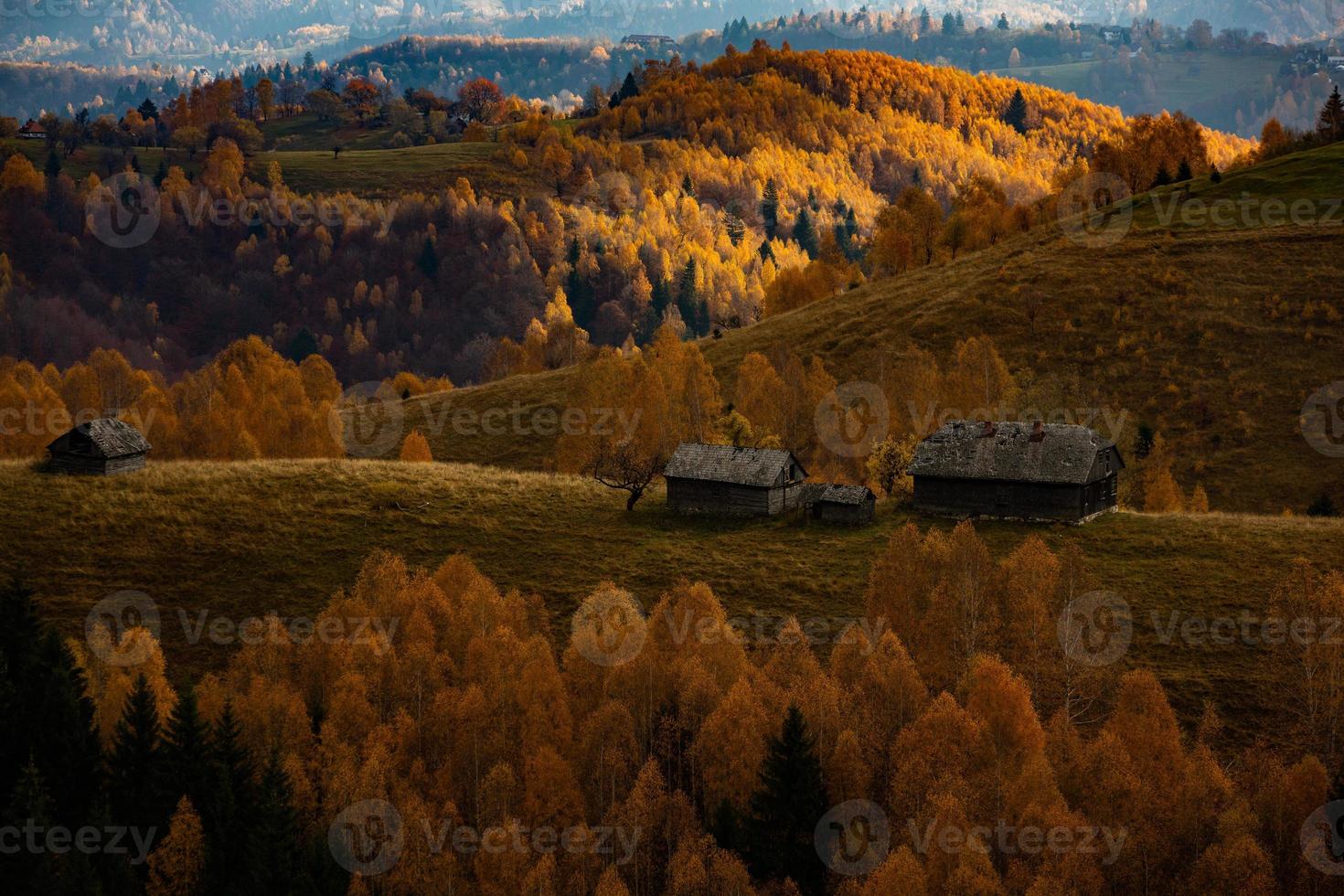 en charmig berg landskap i karpaterna, Rumänien. höst natur i brasov, Europa foto