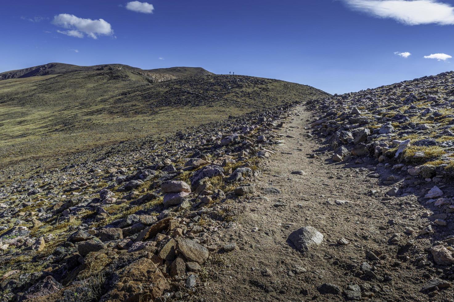 utsikt över flora peak trail foto