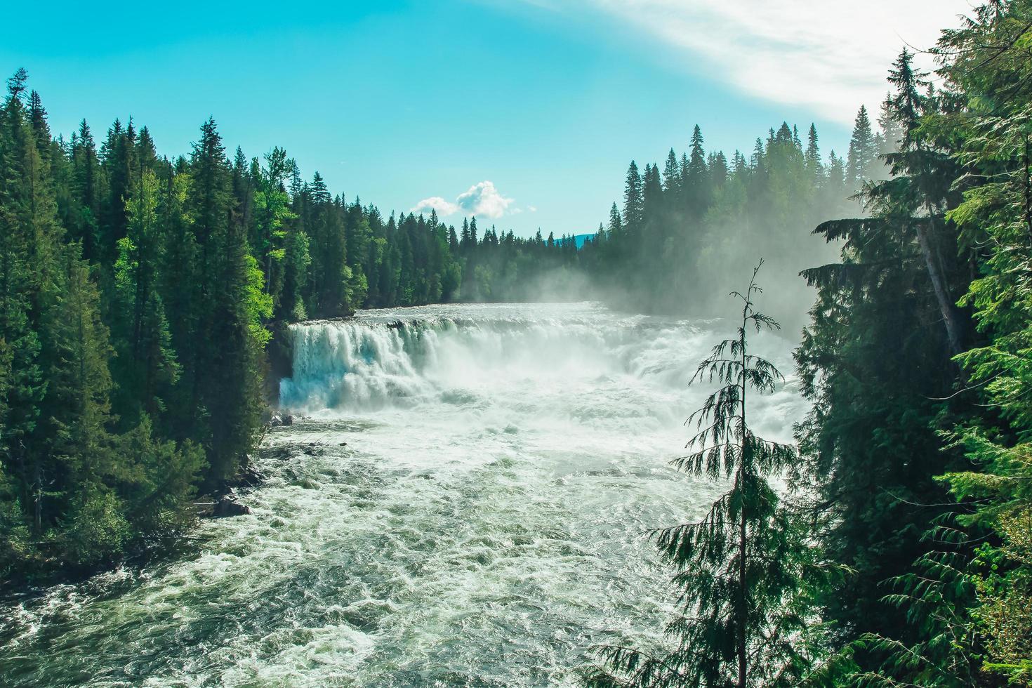 gröna tallar nära ett vattenfall foto