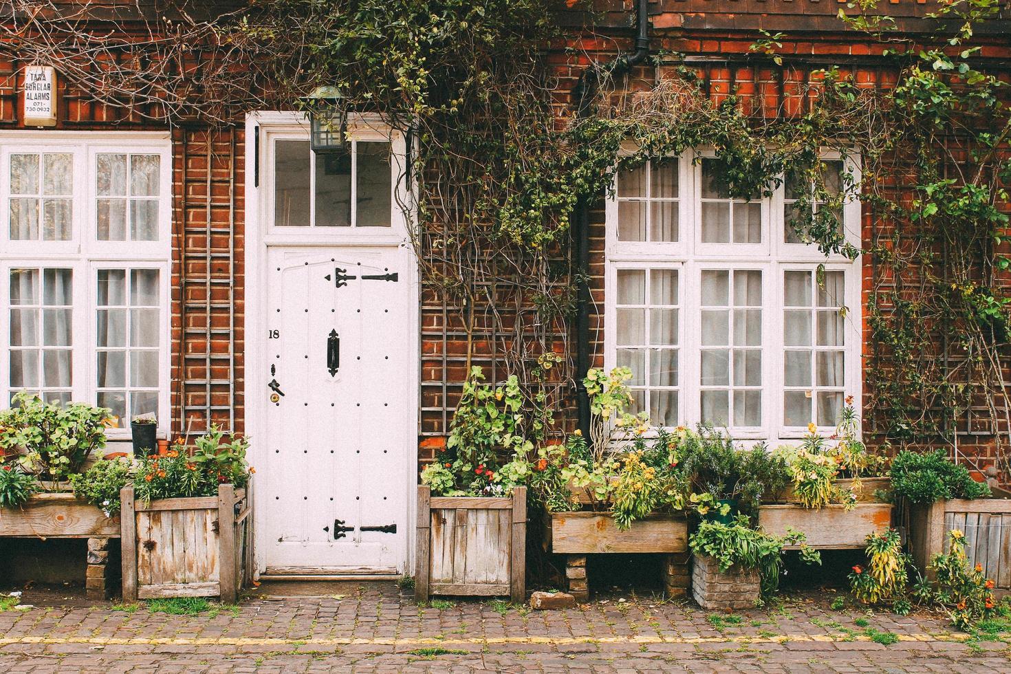 london, england, 2020 - diverse växter framför ett hus foto