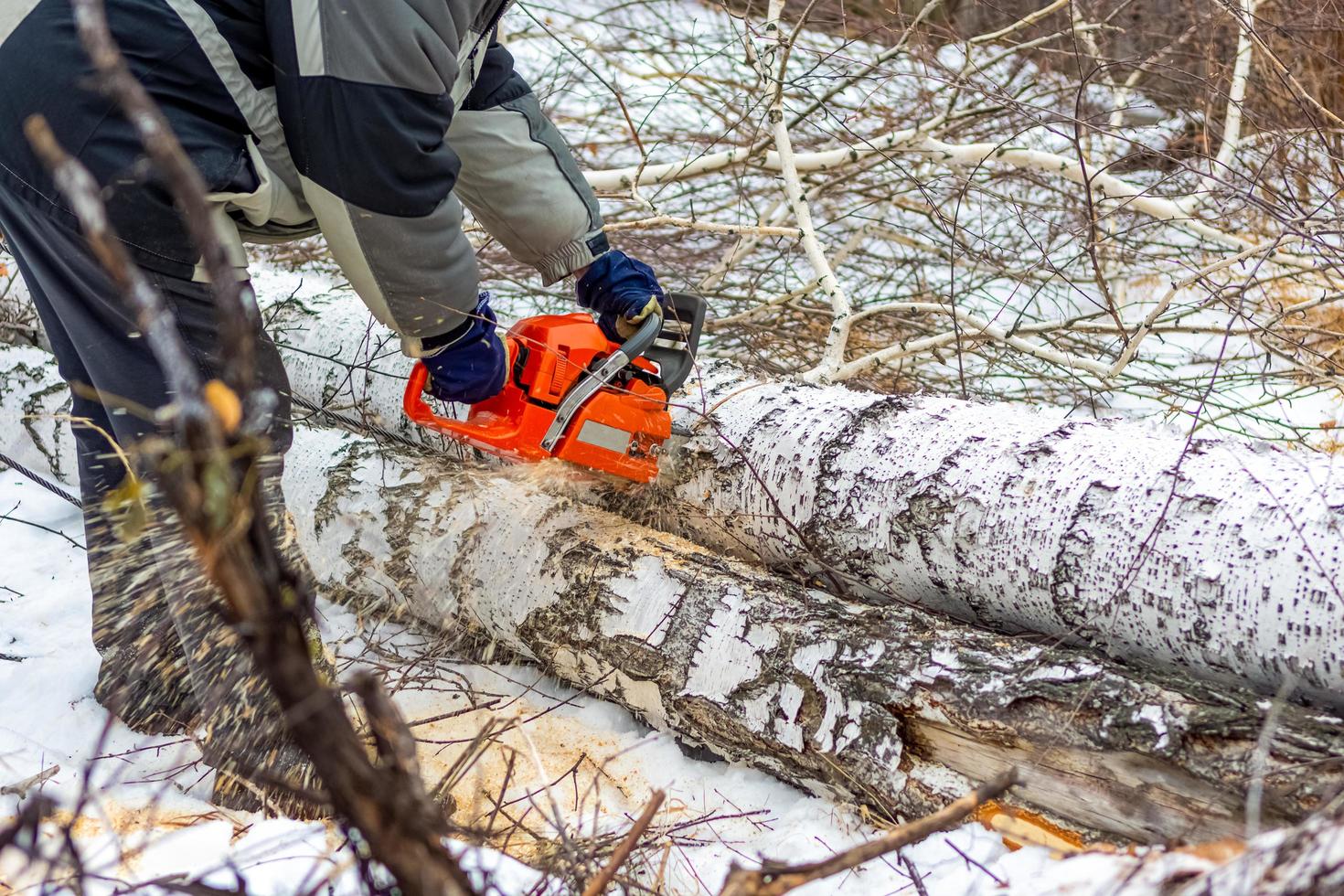 närbild av en skogshuggare sågning en träd med en motorsåg i vinter. januari 18, 2020, Chelyabinsk, ryssland foto