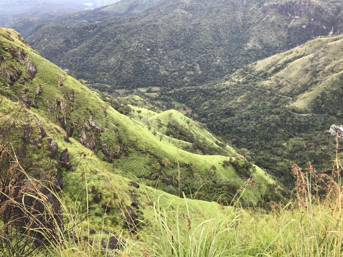 teplantager i sri lanka foto