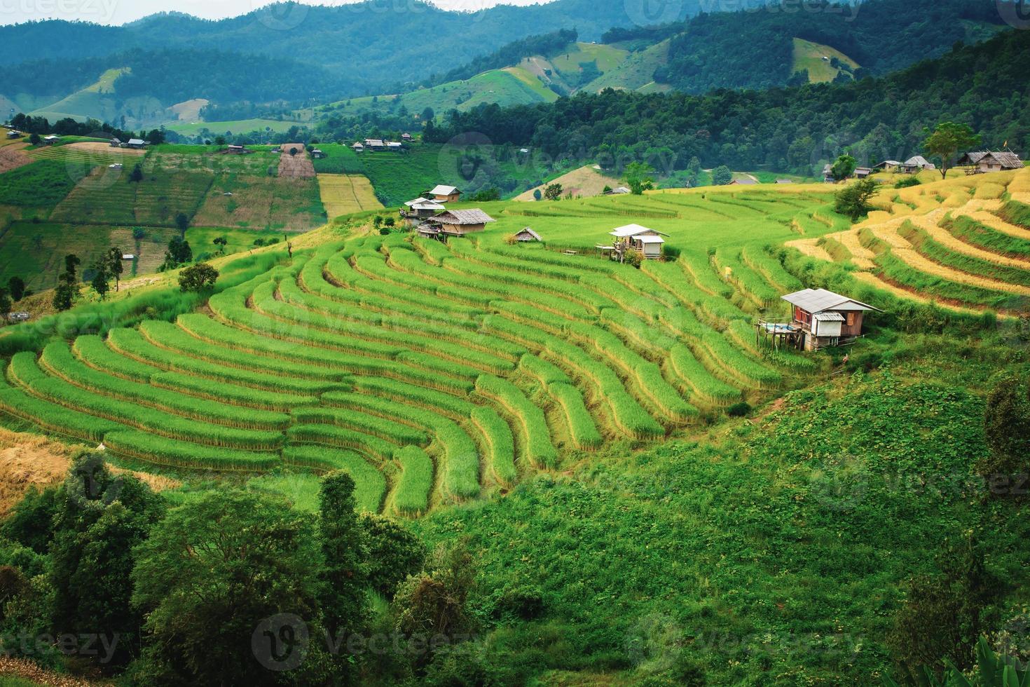 landskap av ris terrass på förbjuda pa bong piang i chiang mai thailand foto