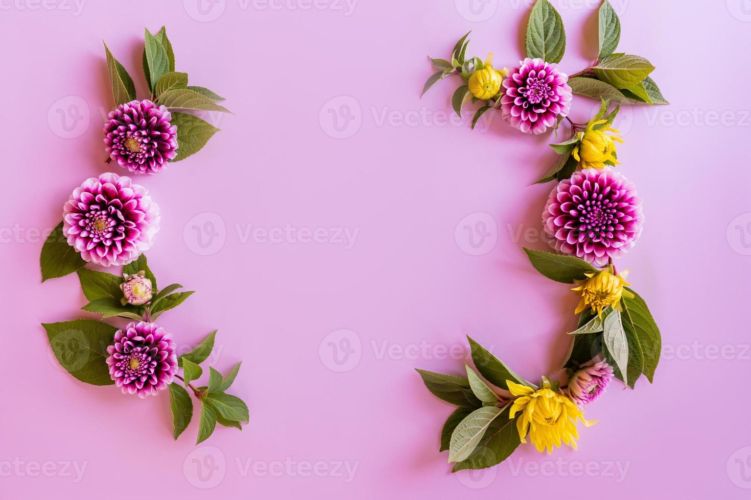 ljus skön sammansättning av höst blommor. skära georginer och grön hortensia löv. blomma ram. Plats för text. lila bakgrund. topp se. foto