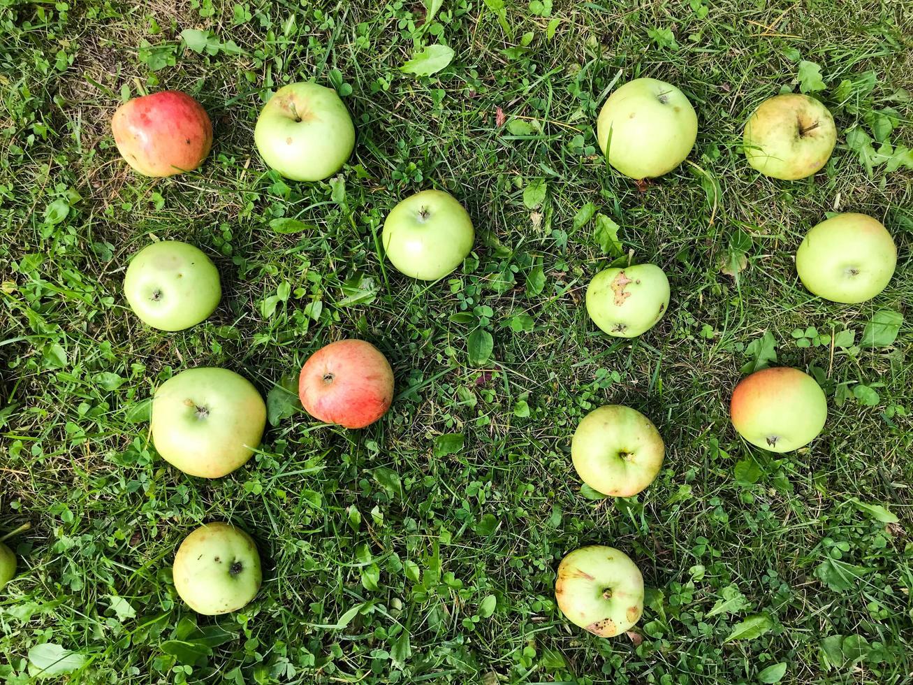 brev från äpplen. två brev äpple inskrift. brev för ord, grattis, kreativ bild foto