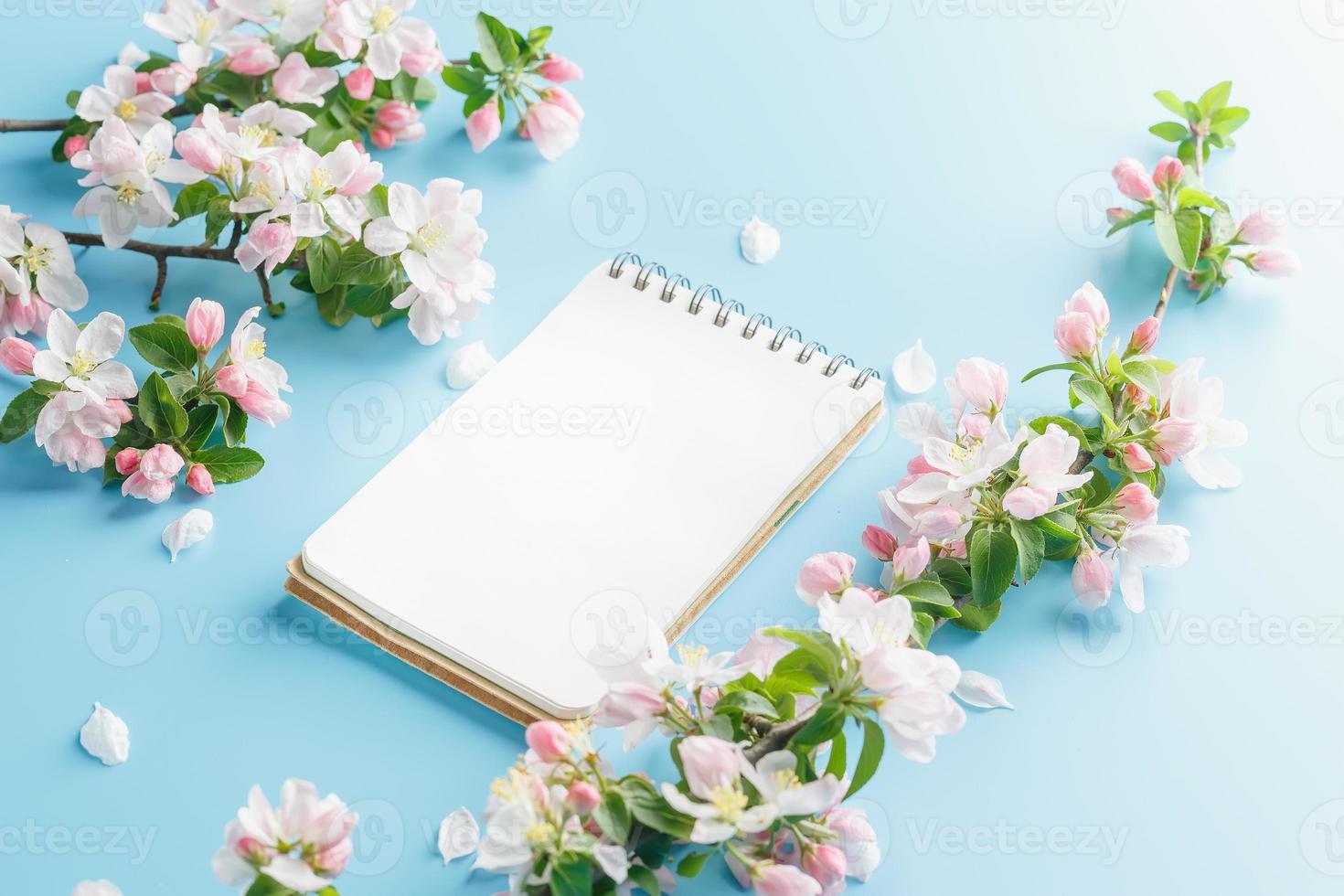 blomning vår sakura på en blå bakgrund med anteckningsblock Plats för en hälsning meddelande. de begrepp av vår och mors dag. skön delikat rosa körsbär blommor i springtime foto