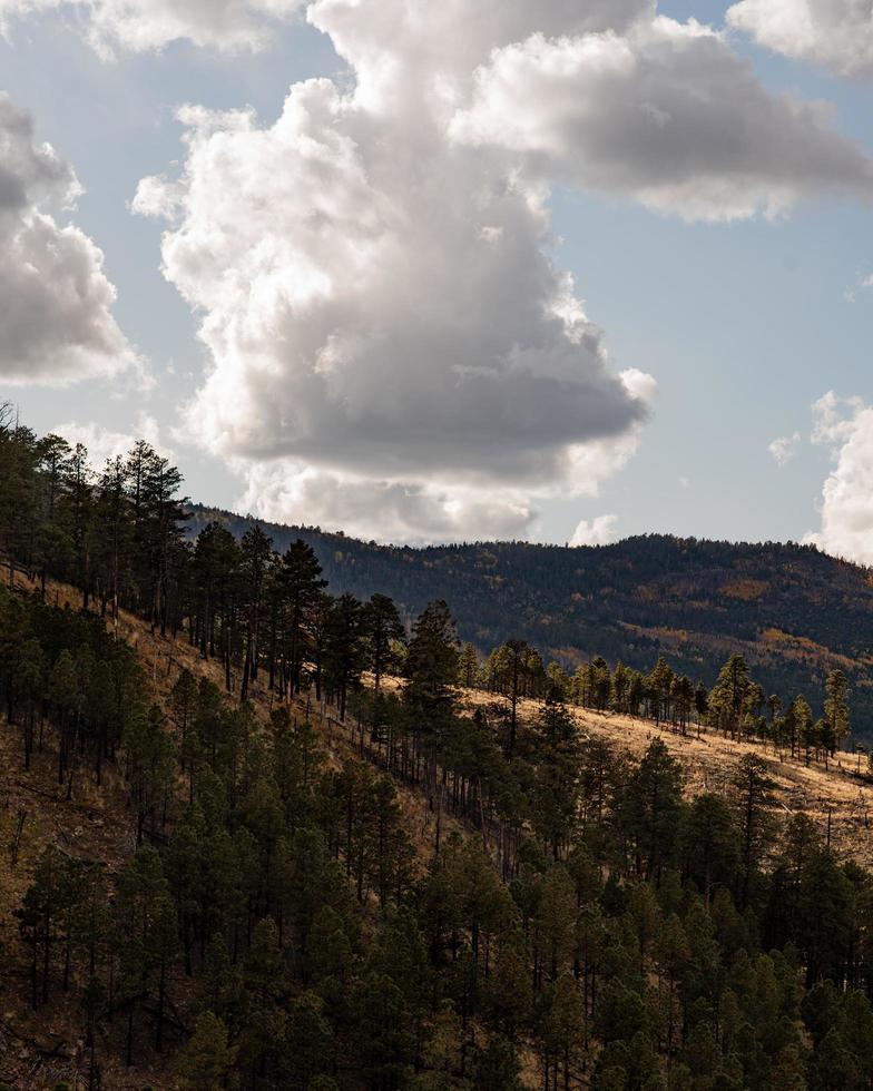 bergslandskap i arizona, usa foto