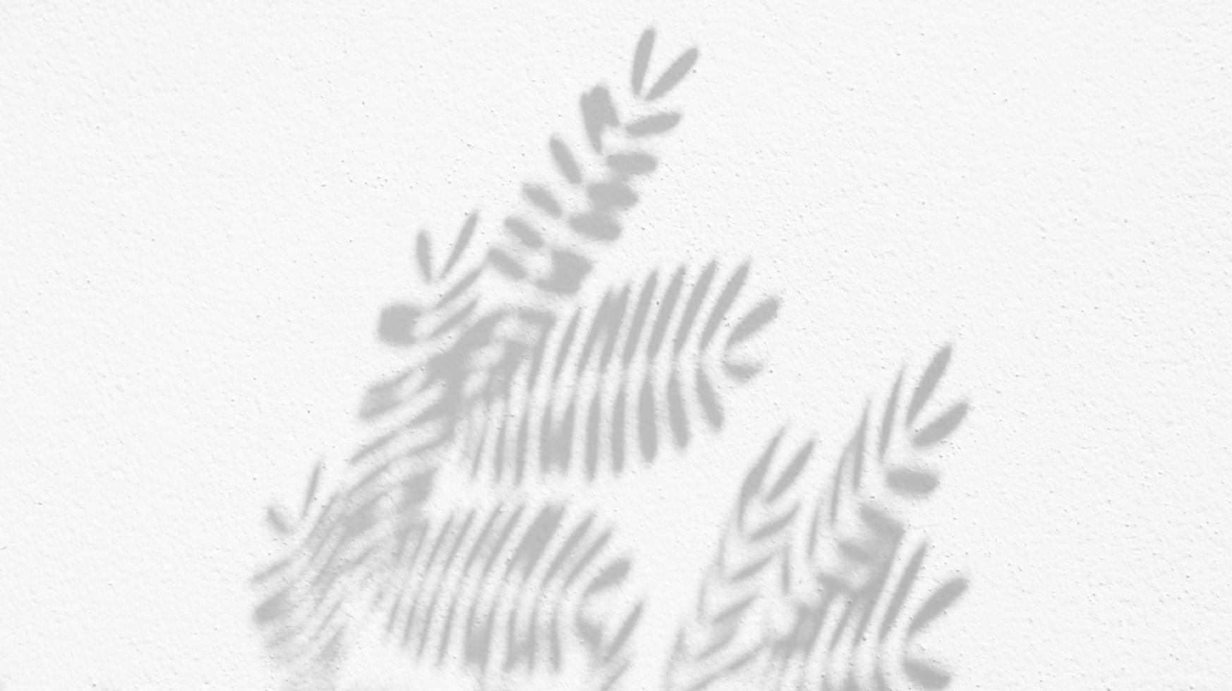 sömlös textur av vit cement vägg en grov yta och blad skugga, med Plats för text, för en bakgrund foto