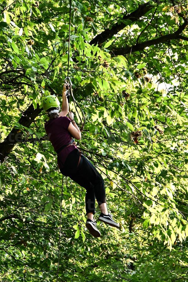 ziplining i skog foto