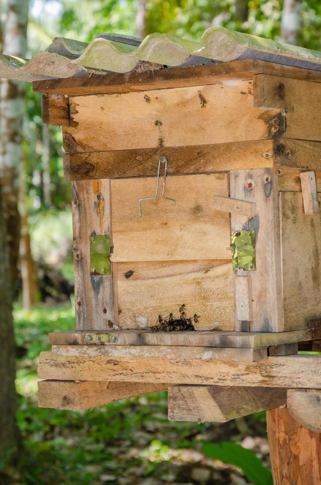 bigård tillverkad från trä- låda för honung bi hus i tropisk naturlig trädgård foto