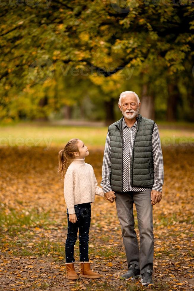 farfar utgifterna tid med hans barnbarn i parkera på höst dag foto