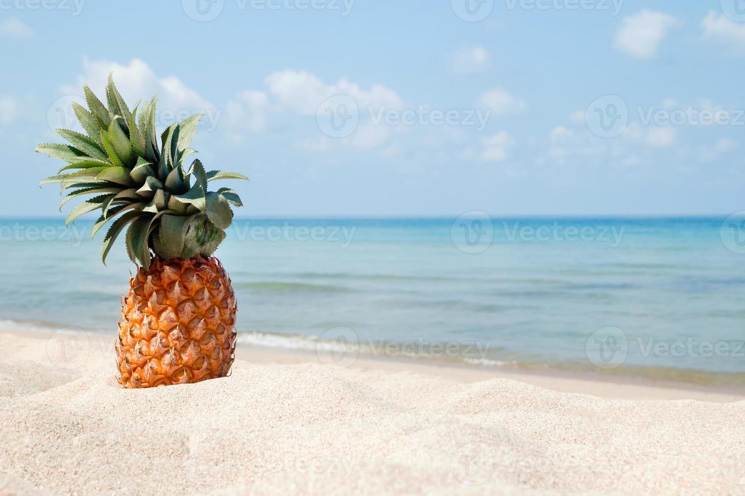 sommar tropisk landskap med ananas på de vit sand strand på de bakgrund av blå hav och himmel. foto