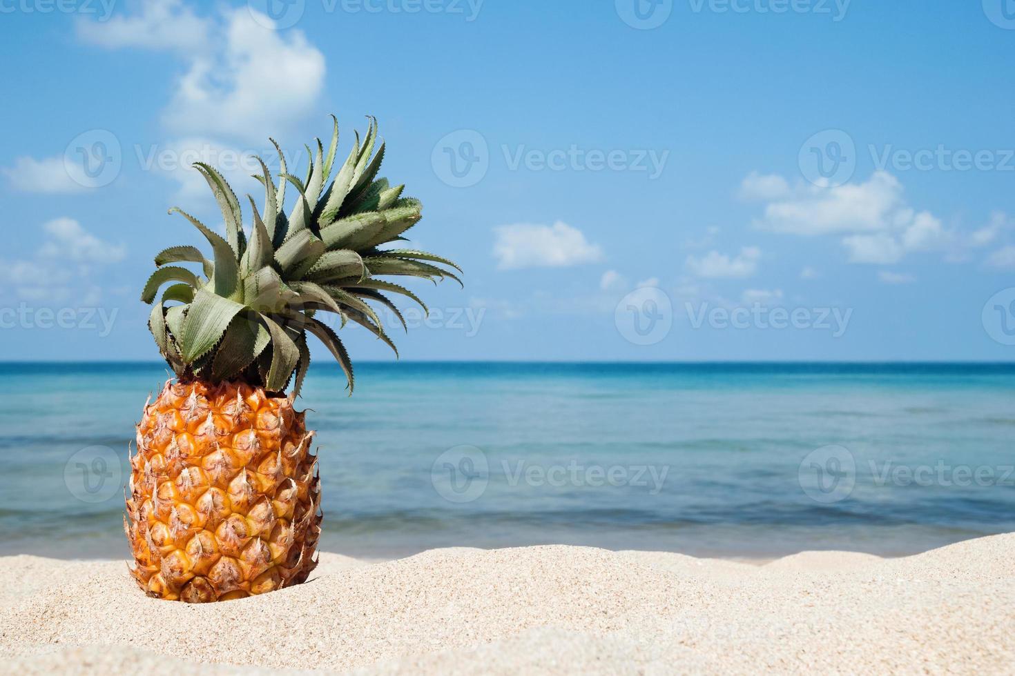 sommar tropisk landskap med ananas på de vit sand strand på de bakgrund av blå hav och himmel på en solig dag, med kopia Plats. foto