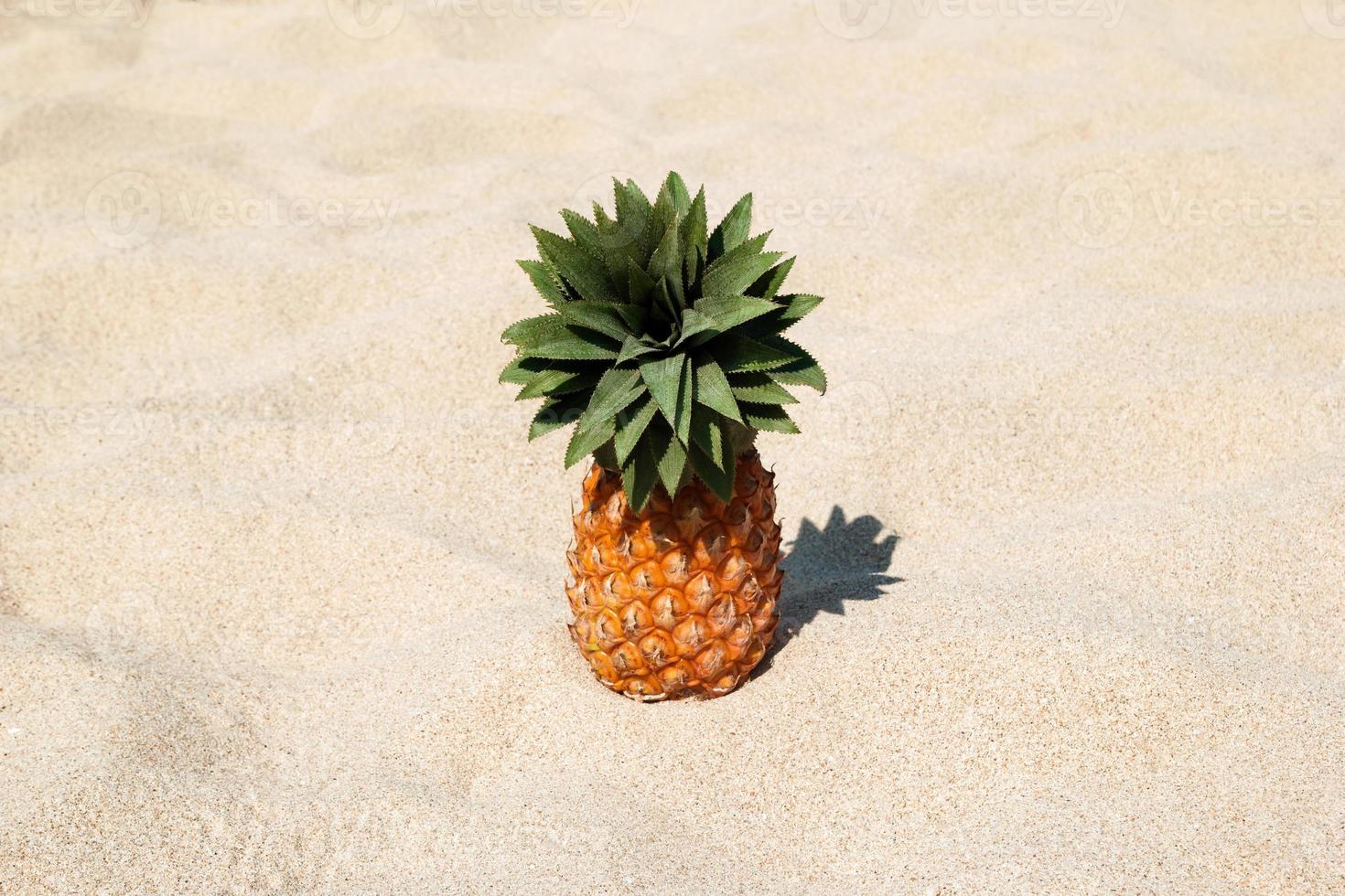 ananas på de vit sand strand på en solig dag, med kopia Plats. foto