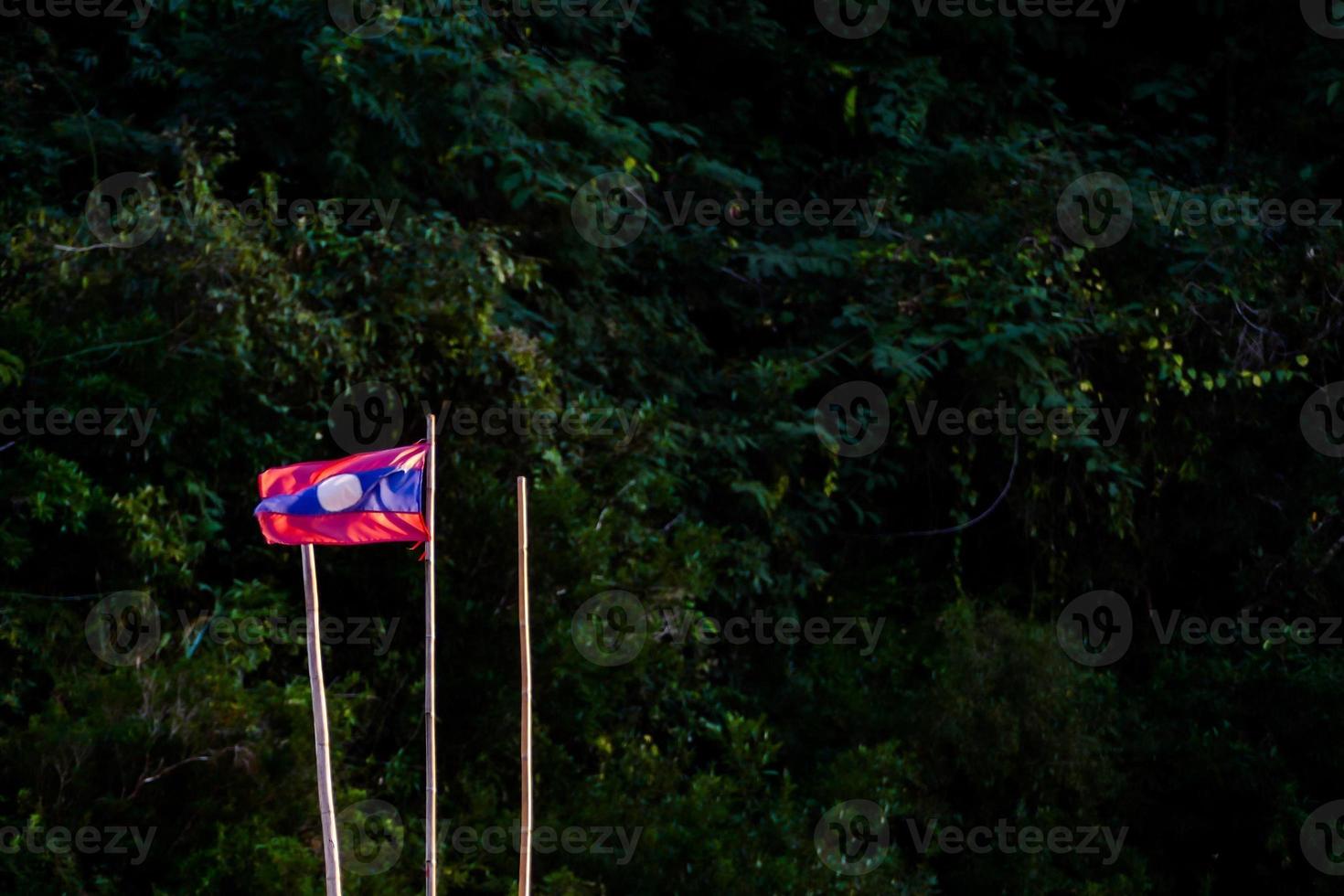 flagga mot grönska foto