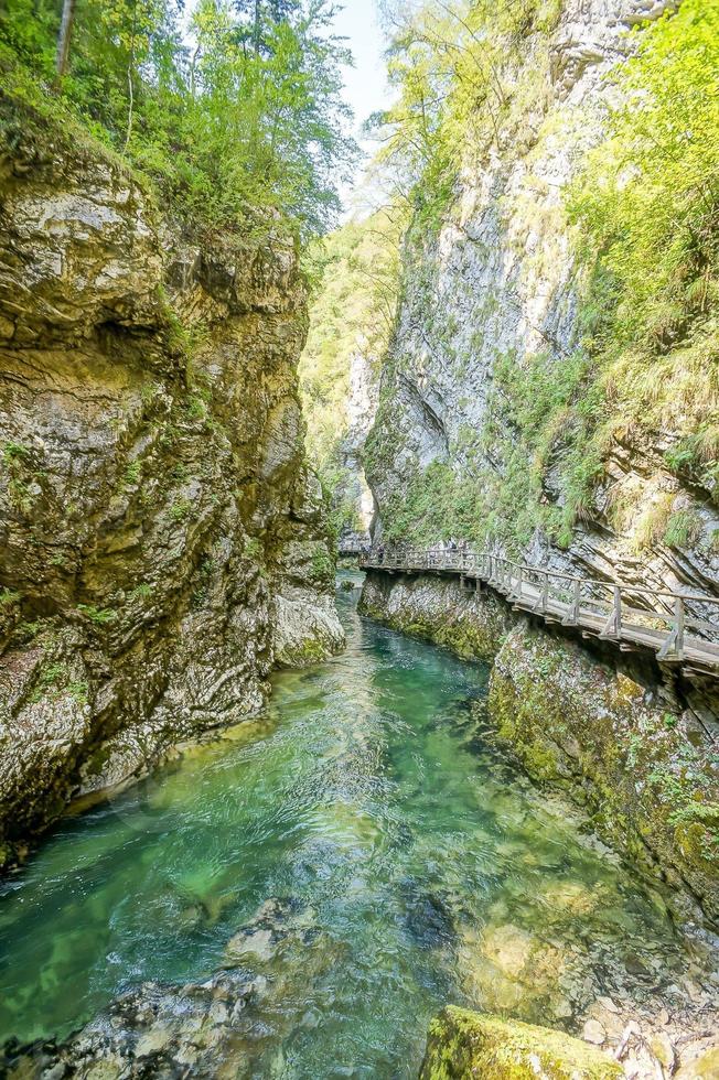 landskap i Slovenien, Europa foto