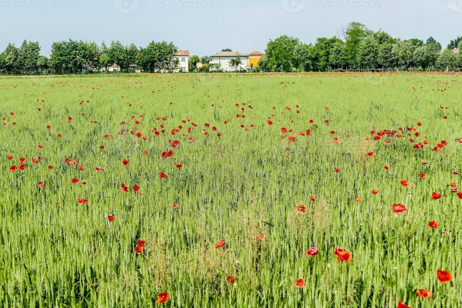 landskap på rom, Italien foto