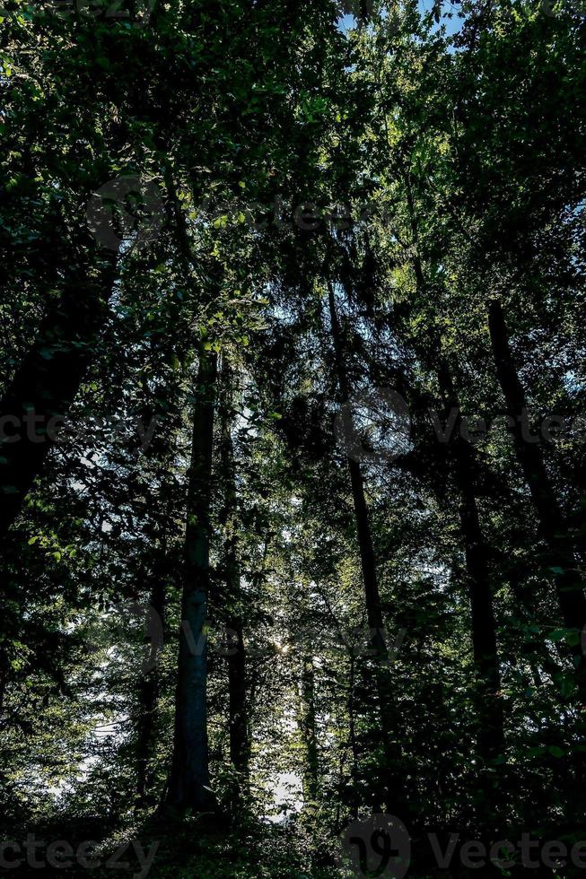 landskap i Slovenien, Europa foto