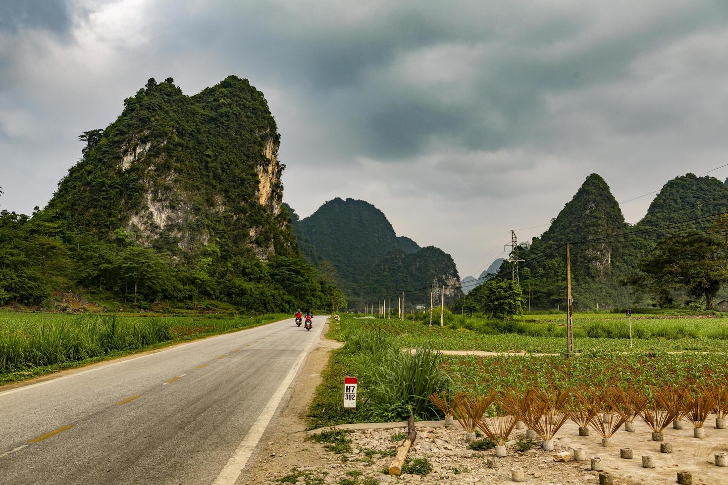 vietnam, 2017-ris fältarbetare och familjeresor via motorcykel foto