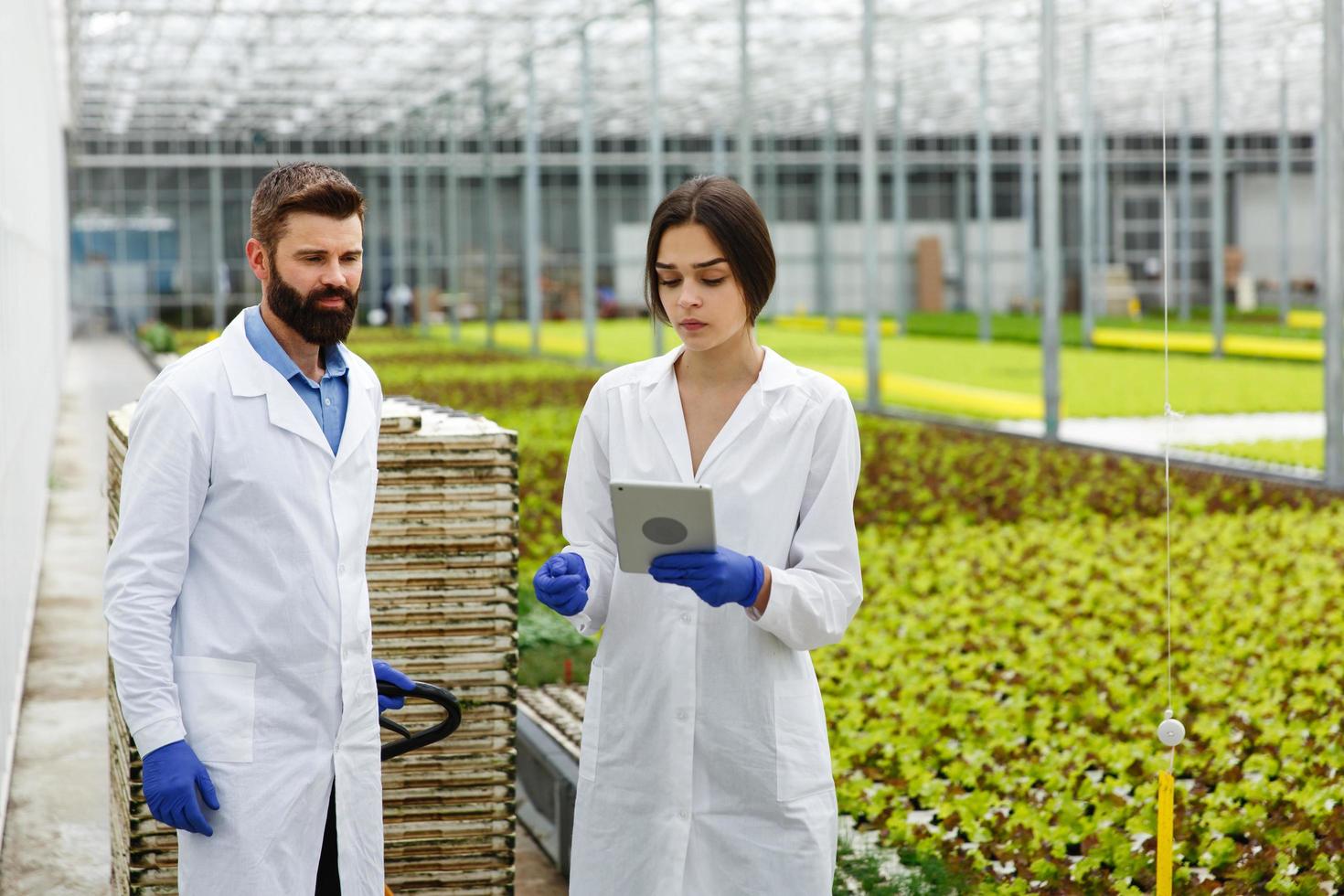 två forskare i laboratoriekläder går runt växthuset med en tablett foto