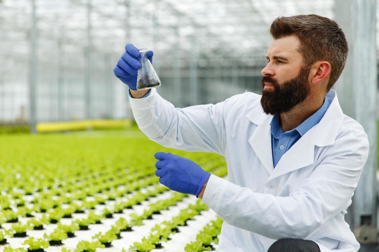 mannen tar ett prov i en erlenmeyer-kolv foto