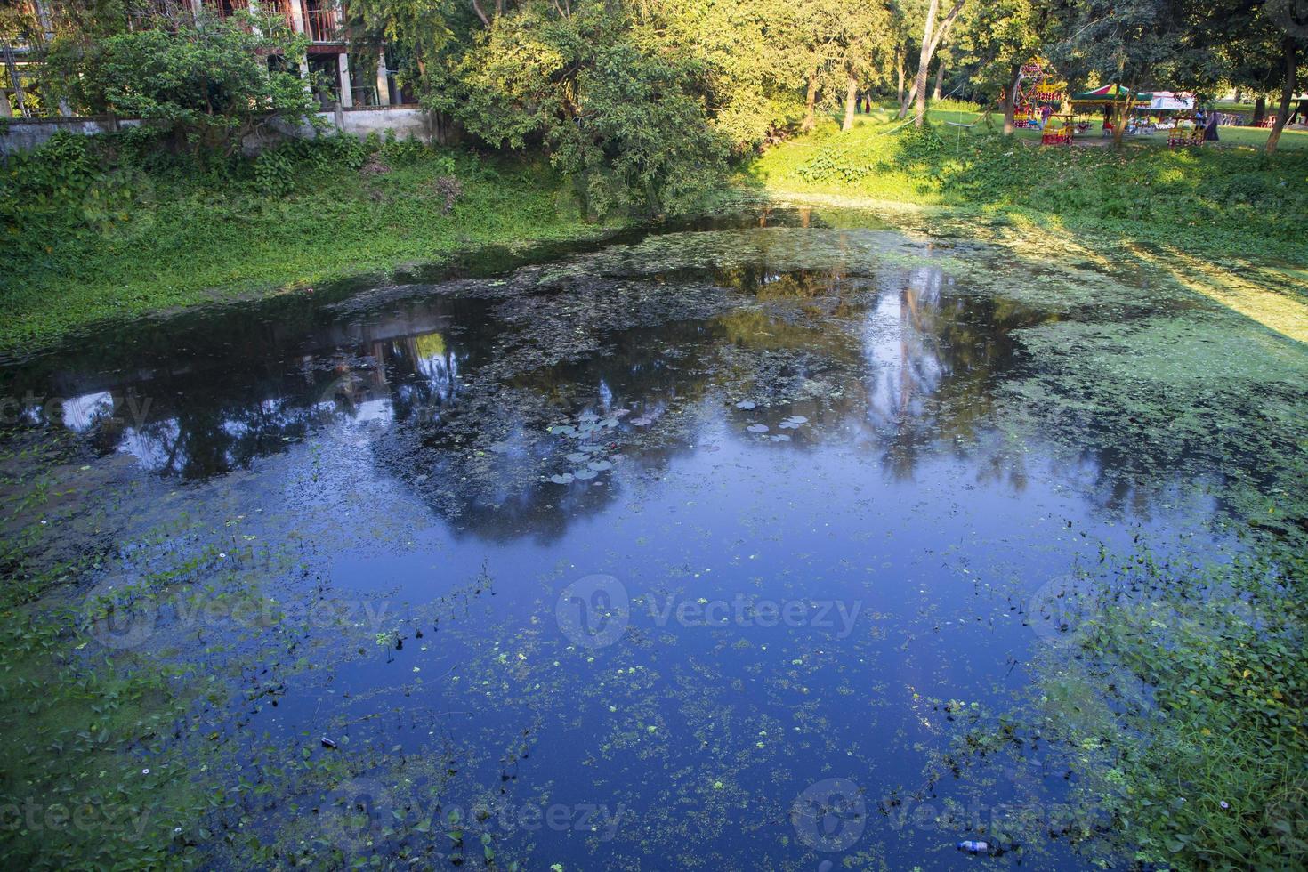 naturlig landskap se reflexion av träd i de sjö vatten mot blå himmel foto