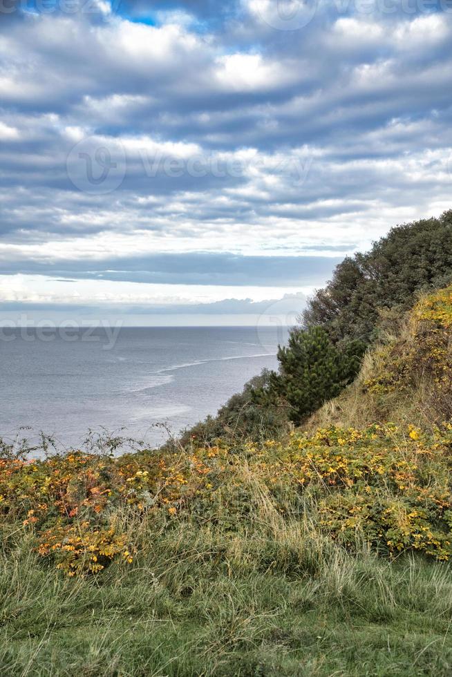 hundested, Danmark på de klippa utsikt de hav. baltic hav kust, gräs- foto